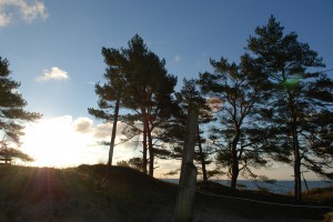 Sol på stranden - november 2014