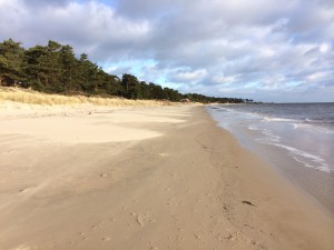 Stranden januari 2015