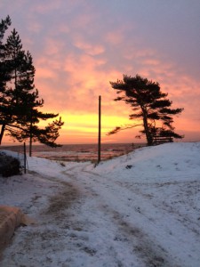 Vintersol vid stranden februari 2016