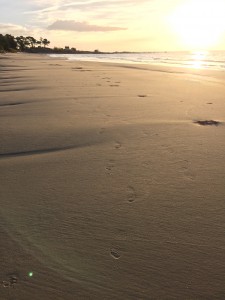 Ebb på stranden oktober 2016